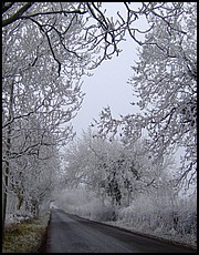 01.jpg