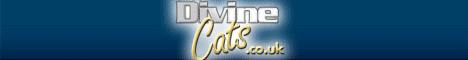 click here