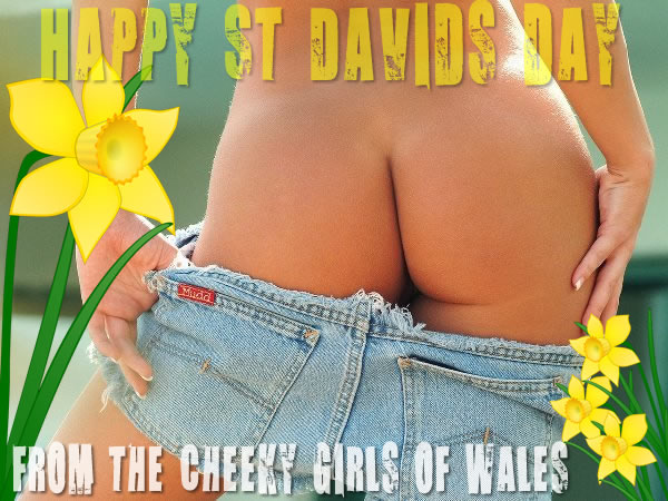 Welsh Ass