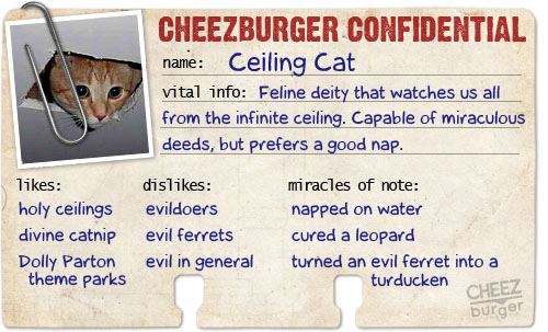 ceiling-id