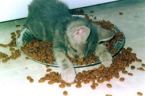 tired