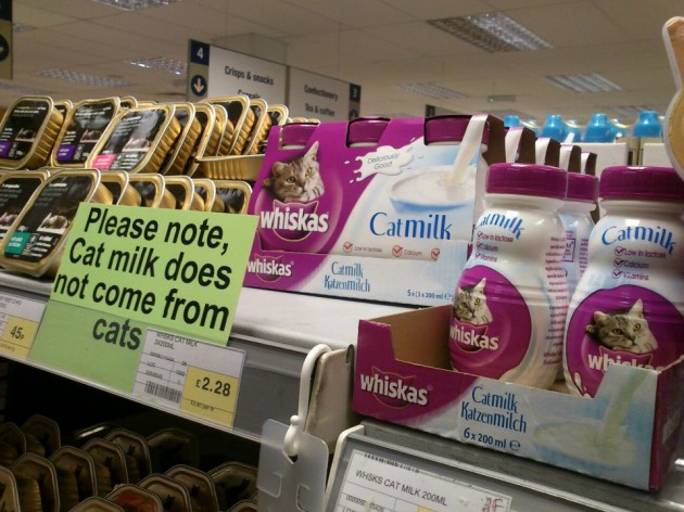 cat milk warning!