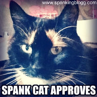 spankcat2
