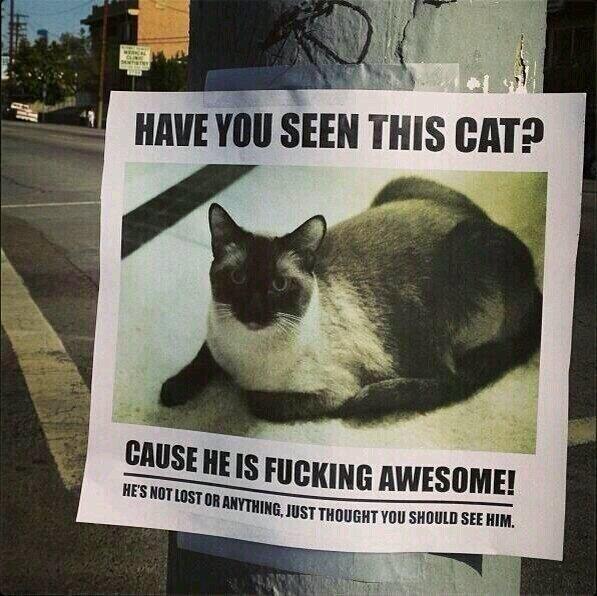 awesome