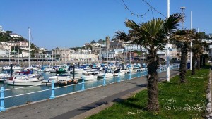 NICEPLACE