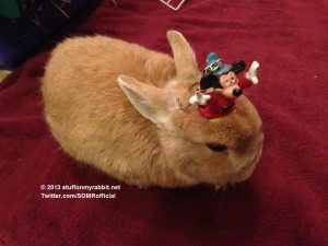 vinnietherabbit